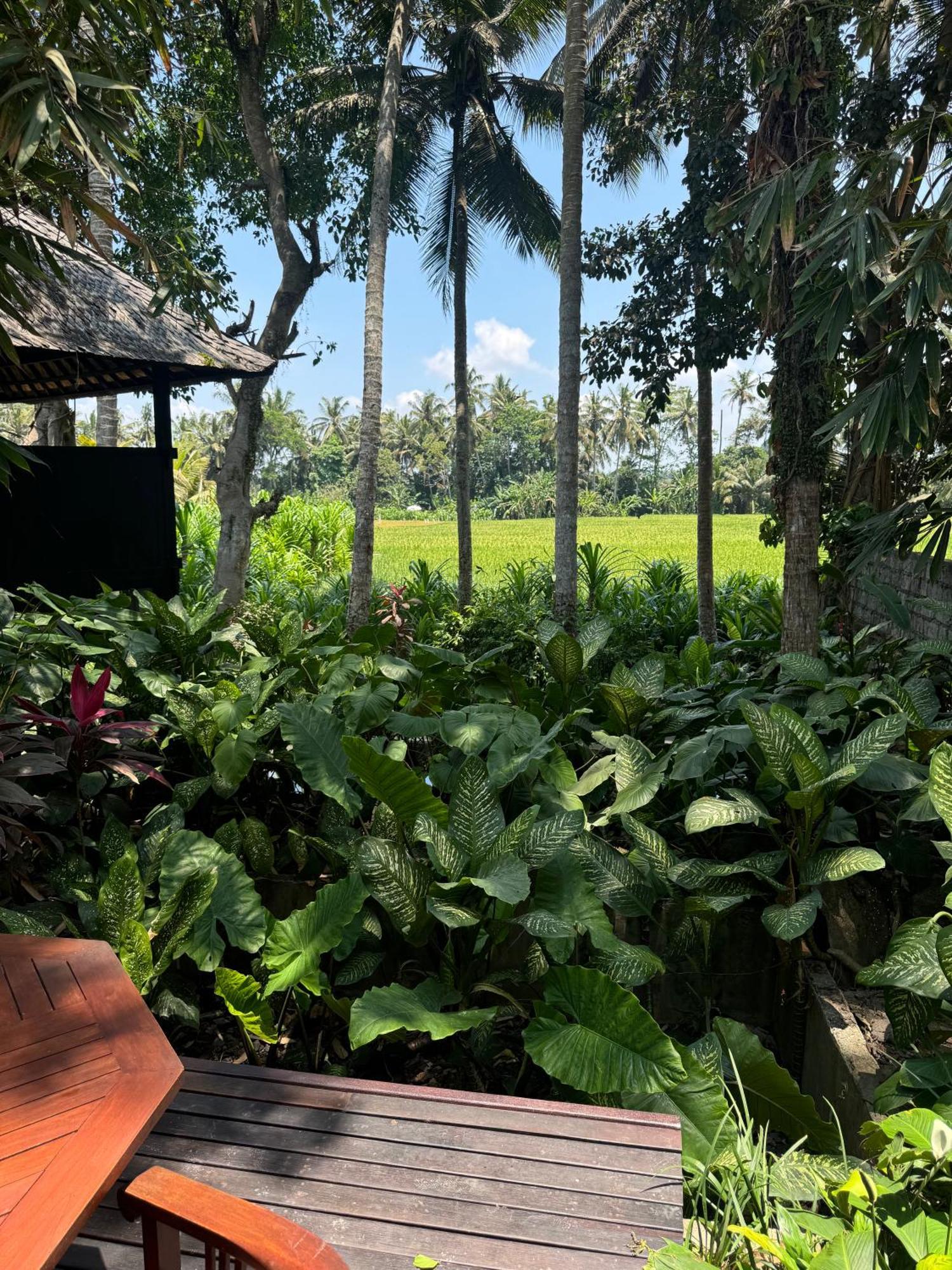 Villa Pantulan Bali Pagetan Luaran gambar